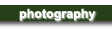 Galleries and Photographic Services