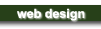 Web Design Services